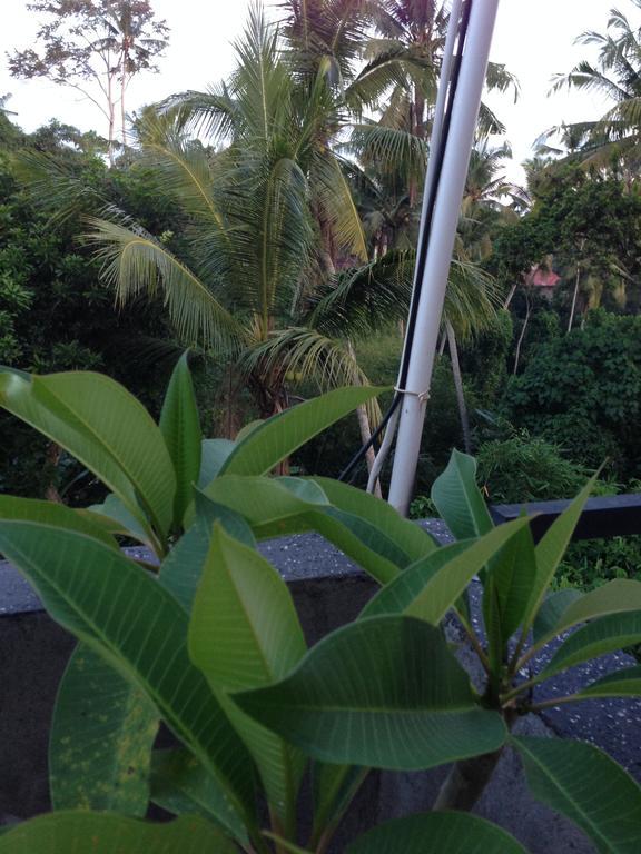 Cebluk Sari Ubud Exterior foto