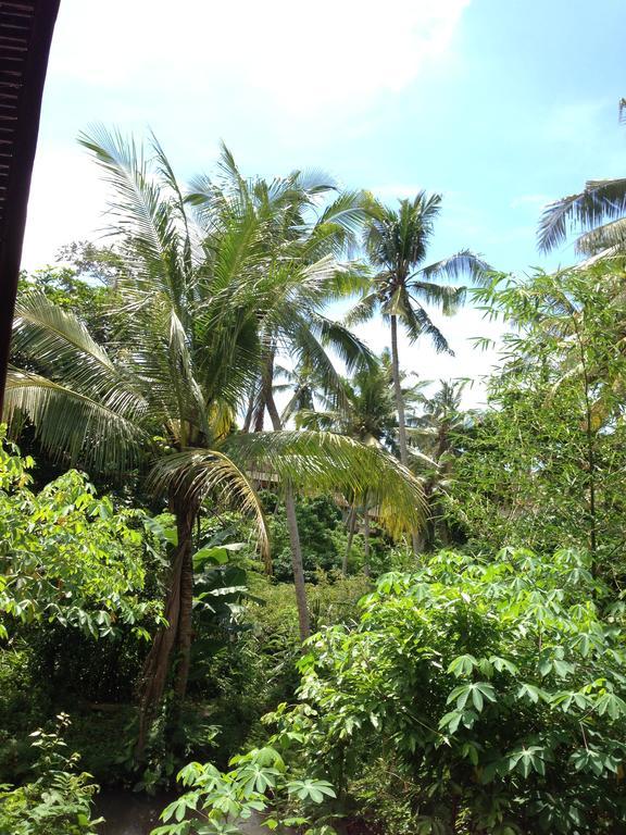 Cebluk Sari Ubud Exterior foto